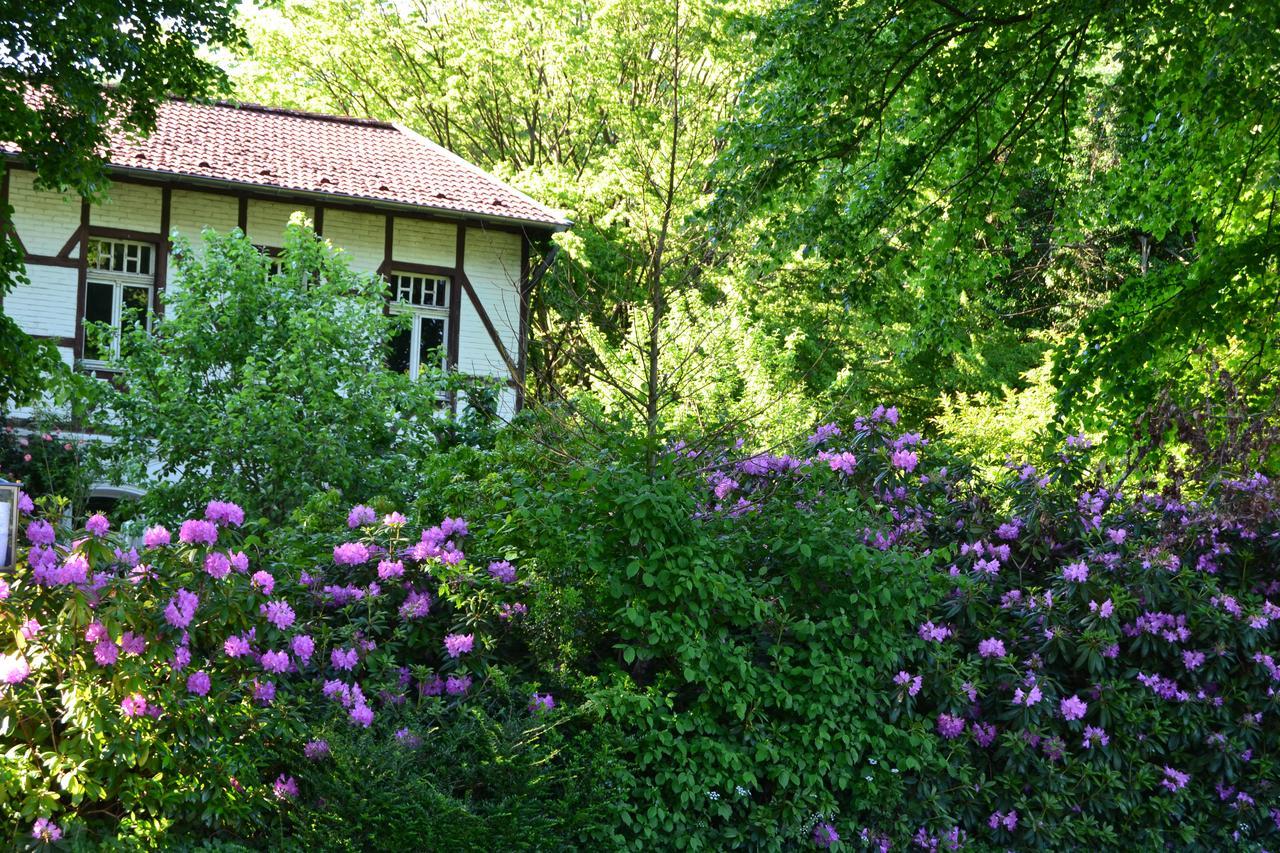 Gottesgabe Hotel Rheine Bagian luar foto