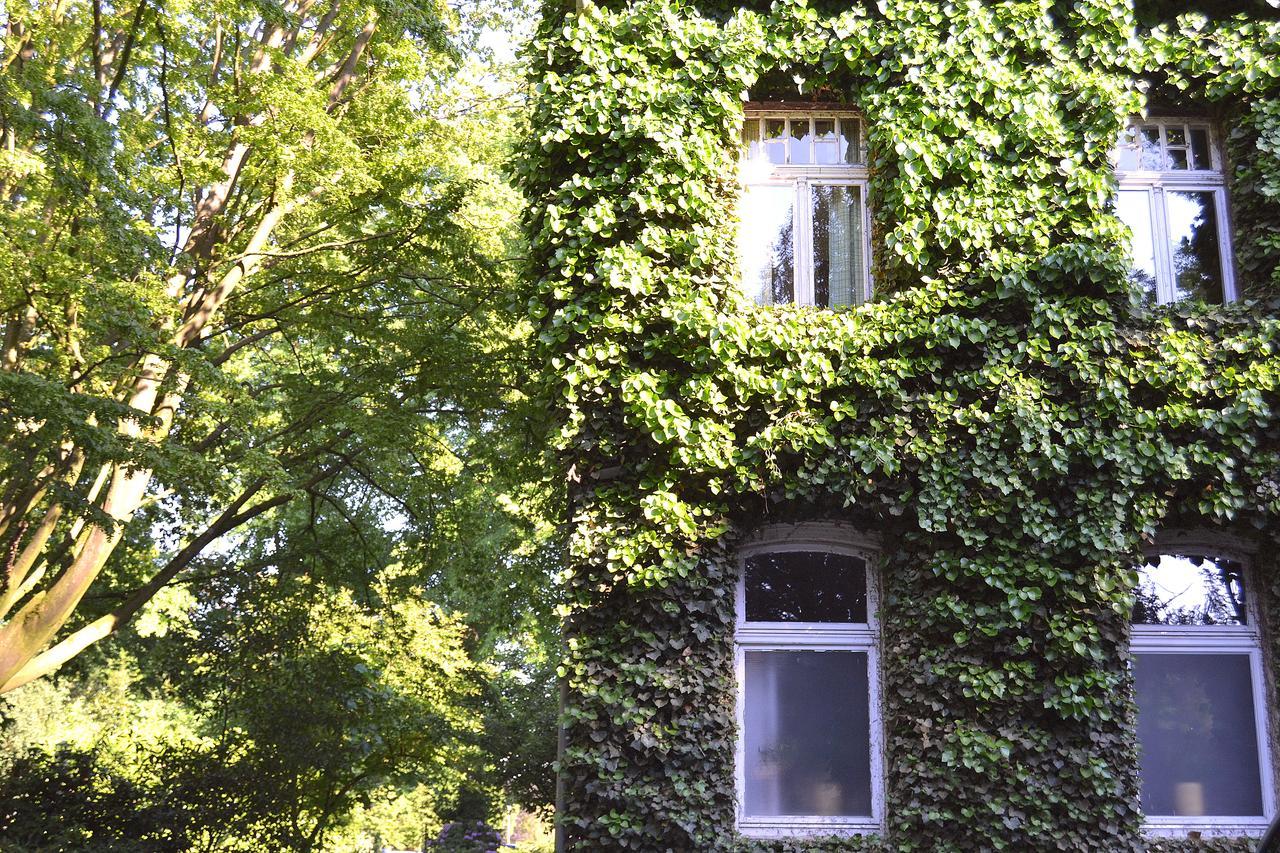 Gottesgabe Hotel Rheine Bagian luar foto